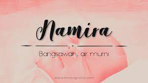 Semuanya ada maksud yang baik dan sempurna! Arti Nama Namira Tentangnama