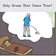 Here's a list of similar words from our thesaurus that you. Dreams Coming True Is Not Always A Good Thing 9gag