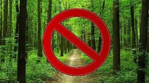 У Тернопільській області обмежено відвідування лісів