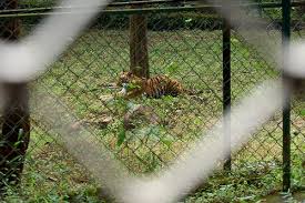 Sanjay Gandhi National Park | Flickr