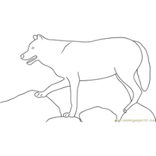 Whitepages is a residential phone book you can use to look up individuals. Wolf Coloring Pages For Kids Printable Free Download Coloringpages101 Com