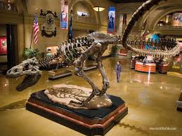 Night At The Museum Publicity Still Night At The Museum Museum Movie Museum