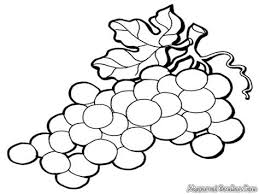 Izarnazar gambar mewarnai buah anggur. Mewarnai Gambar Anggur Shefalitayal