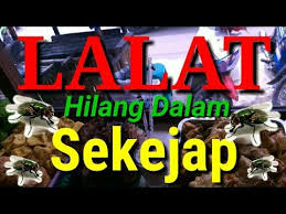 Cara Mengusir Lalat Di Rumah Makan Youtube Pengetahuan Makanan Youtube
