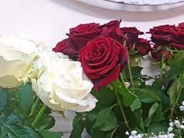 Five Flower Shop Near Me Open Now That Had Gone Way Too Far Flower Shop Near Me Open Now Https Ift Tt 31o Online Flower Shop Online Flower Delivery Flowers