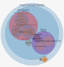 scrambled eggs all nutrients by relative proportion pie