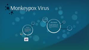 Monkeypox virus belongs to the orthopoxvirus genus in the family poxviridae. Monkeypox Virus By Israel Martinez