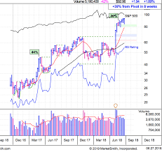 Building On A Big Winner Ttd Pattern Profits