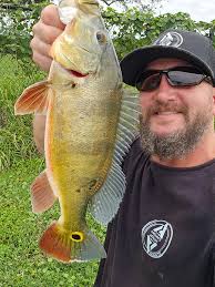 Just moved in Beautiful Gray Channel Catfish from our rearing ponds.  Perfect eating size. The bite will be fast and furious this week. Hope you  can visit. #awesomemitten,#MichiganFamily,#takeakidfishing,#kidsfishing