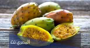 Maybe you would like to learn more about one of these? ØªÙØ³ÙŠØ± ÙØ§ÙƒÙ‡Ø© Ø§Ù„ØµØ¨Ø± ÙÙŠ Ø§Ù„Ù…Ù†Ø§Ù…