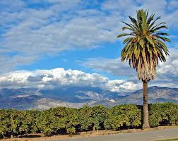 An autotroph is something that builds big macromolecules from tiny molecules; Desert Organisms The Desert