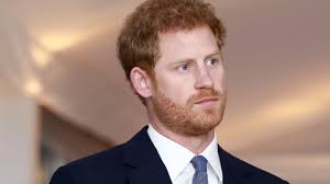 Alissa s084 land coresoft zip. Charity Bau So Feiern Harry Und Meghan Dritten Hochzeitstag Promiflash De