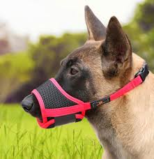 Size, materials, and type determine the cost of a dog muzzle. Nylon Dog Muzzle Anti Biting Barking Secure Fit Dog Muzzle Mesh Breathable Dog Mouth Cover For Small Medium Large Dogs Esg12457 China Muzzle And Dog Muzzle Price Made In China Com