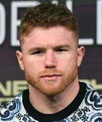 Boxer Canelo Alvarez Canelo Alvarez Height And Weight Professional Boxing