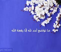 صور عن التواضع عبارات عن التواضع مكتوبة علي صور check more at https pic hd com images about modesty pics profile