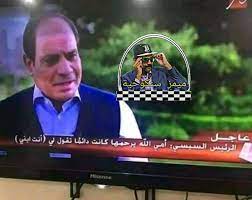 زوجة قاضي في أوضاع مخلة مع مدرب الكاراتيه مؤيد السيسي بالمحللة. Facebook