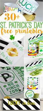 It does not have to over the top or anything, just some splashes of green on our porch glider and front door. 30 St Patricks Day Free Printables Lolly Jane
