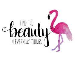 Flamingo Print Girl Quotes Find The Beauty Pink And Black Decor Flamingo Art Quotes For Girls Bathroom Wall Art Dorm Room Art Pink Flamingo Flamingos Quote Art Quotes Inspirational Flamingo Wall