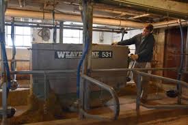 At self-sufficient dairy farms, 'the pandemic hit, and people started  coming'