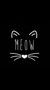 Wallpaper Gato Cat Wallpaper Wallpaper Cats