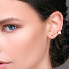 Hypoallergene Libelle Ohrringe Grosse Insekten Geschenk für Sie Geschenk  für Sie,Schmuckgeschenk,bestes Geschenk für Mama,Geschenk für Oma