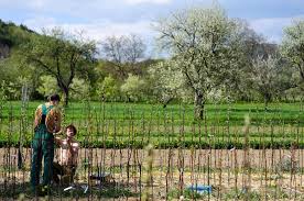 Maybe you would like to learn more about one of these? Lokalny Trh Ovocna Skolka Biele Karpaty