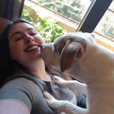 Ser acadmico do curso de direito, regularmente matriculado e estagiar em escritrio ou instituio credenciada pela oab. Ana Carolina On Twitter O Estudante De Direito Esperando A Oab Dia 13