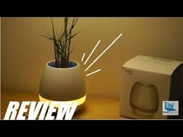 Review Smart Flower Pot Bluetooth Speaker Mood Lamp Youtube