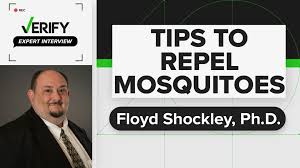 Avoiding mosquitoes in the summer heat