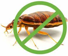 Bed bug exterminator costs by home size. 26 Pest Company Ideas Termite Control Pests Pest Control