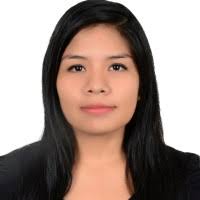 40+ perfiles de «Lisset Castillo»