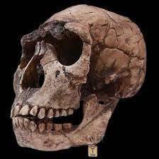 Unos niños y niñas de turkana juegan después del final de clase en la escuela móvil kalokutanyang. Pin On Linaje Humano Por Juan Jose Montoro