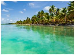 Is there anything better than swaying from a hammock in a warm patch of jamaican sun? Moving To Jamaica International Removals To Jamaica Eurosender Com
