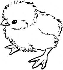 Pin On Animal Coloring Books