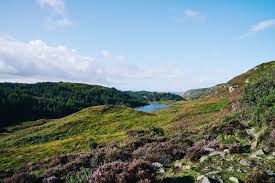 A subtropical wonderland in northern scotland, the inverness botanic gardens grow an astounding. A Guide To Driving The North Coast 500 Scotland S Route 66 Vogue