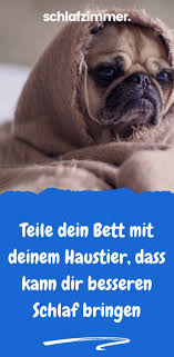 Teile Dein Bett Mit Deinem Haustier Fur Einen Besseren Schlaf Haustier Schlafen Gesundheit Von Haustieren