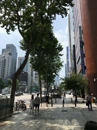 Teheranno In Kangnam Korea Street View Scenes Street