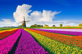 I n the netherlands, for e xample, we ar e short o f manpower. Paises Bajos La Guia De Viaje Al Detalle Easyviajar