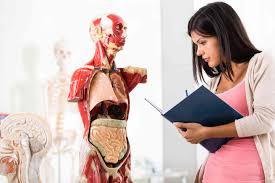 When it comes to a relationship and its everyday as one of the most known parts of the female body to take action during sexual activities, the breast right there in the lower stomach? How Much Do Your Organs Weigh