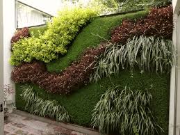 Para tener un jardín, solo necesitamos tener una pared, ya que podemos realizar todo un jardín, con gran variedad de plantas, de forma vertical y tanto en el exterior como en un interior. Las Mejores 5 Plantas Para Tu Jardin Vertical Generacion Verde