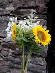 Check spelling or type a new query. Mountain Road Flower Farm Home Facebook