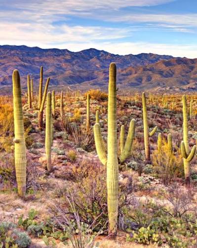 Explore Arizona in 5 Days: A Comprehensive Itinerary Guide