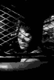 Image result for White 1992 Taxi