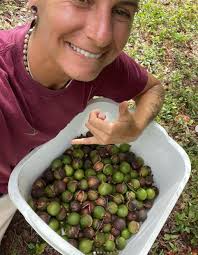 Backyard Seed Savers