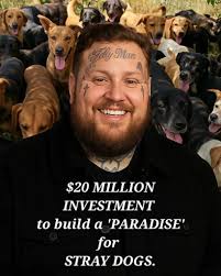 Jelly Roll is nominated for Favorite Male Country Artist, Favorite Country  Song ( "I Am Not Okay") and Favorite Country Album ( " Beautifully Broken")  for the 2025 American Music Awards.