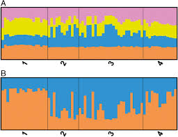 Compra online en paris.cl más rápido y cómodo. Investigating Taxon Boundaries And Extinction Risk In Endemic Chilean Cacti Copiapoa Subsection Cinerei Cactaceae Using Chloroplast Dna Sequences Microsatellite Data And 3d Mapping Springerlink