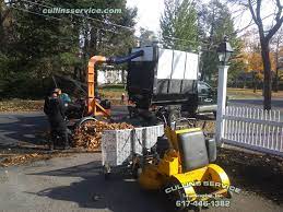 Leaf Removal Setup Landscape Projects Tree Removal Service Tree Removal