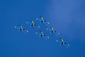 Photos: Miramar Air Show 2024 – San ...