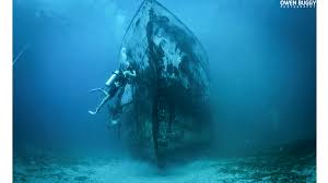 The kraken (/ ˈ k r ɑː k ən /) is a. Kraken Attack Art Reef Makes Waves In The British Virgin Islands The Cruisington Times