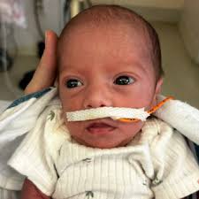 Olivia Hodges and Jose Costa's Baby Registry at Babylist